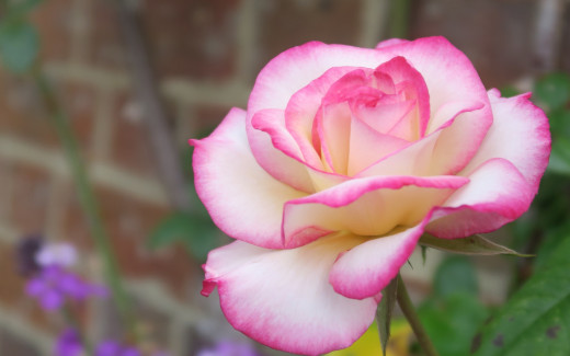 1046724 (a): :2880x1800